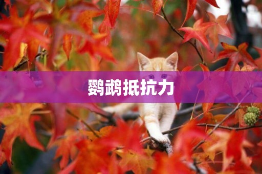 鸚鵡抵抗力