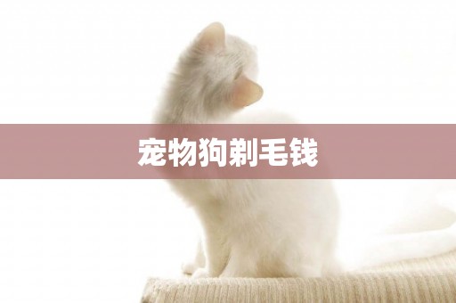 寵物狗剃毛錢