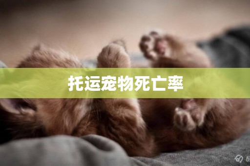 托運寵物死亡率
