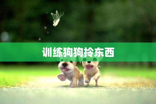 訓練狗狗拎東西