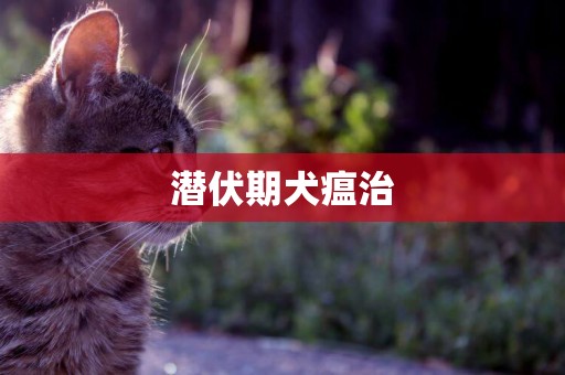 潛伏期犬瘟治