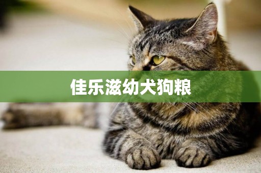 佳樂滋幼犬狗糧
