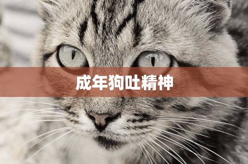 成年狗吐精神