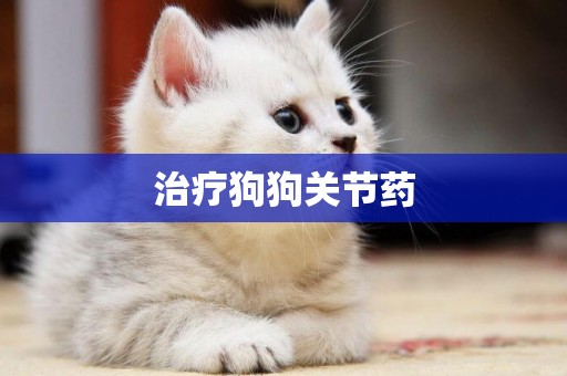 治療狗狗關節藥