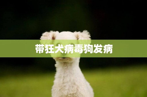 帶狂犬病毒狗發病