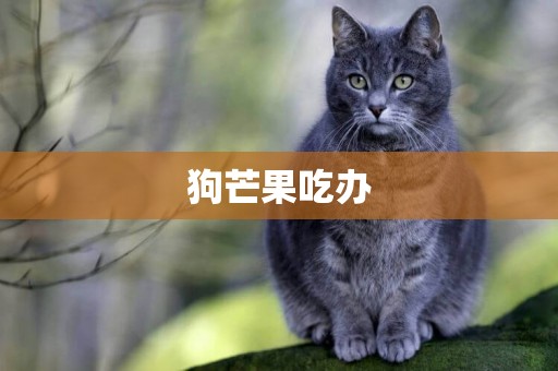 狗芒果吃辦