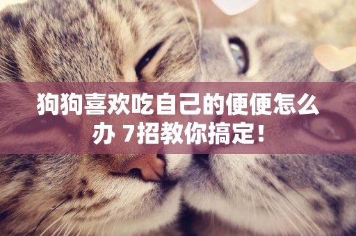 狗狗喜歡吃自己的便便怎么辦 7招教你搞定！