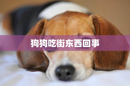 狗狗吃街東西回事