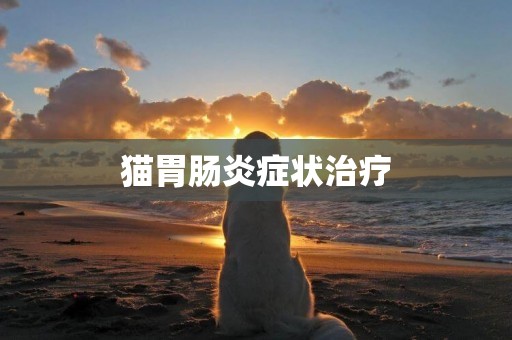 貓胃腸炎癥狀治療