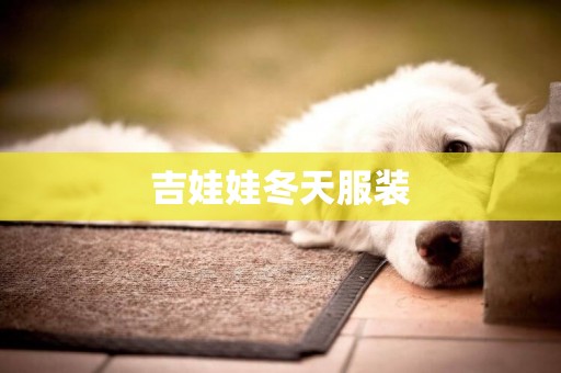 吉娃娃冬天服裝