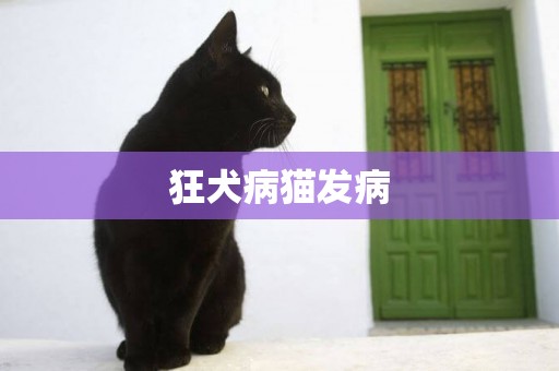 狂犬病貓發病