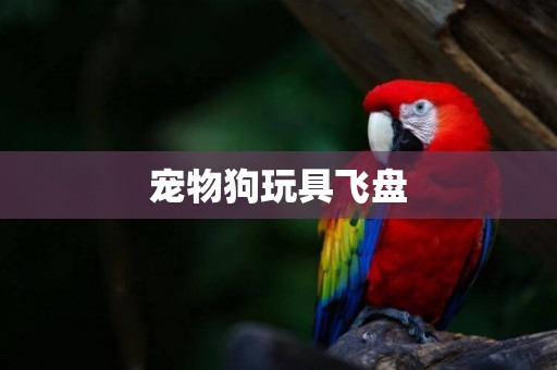 寵物狗玩具飛盤