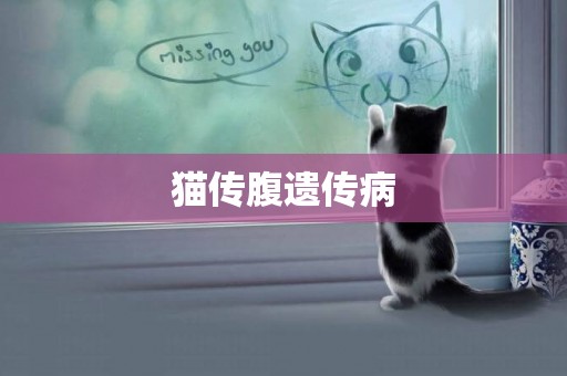 貓傳腹遺傳病