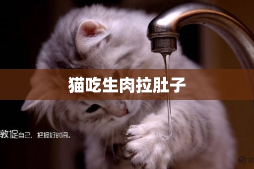 貓吃生肉拉肚子