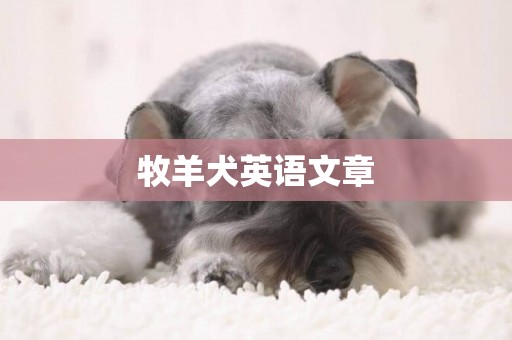 牧羊犬英語文章
