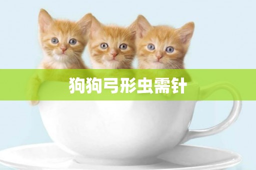 狗狗弓形蟲需針