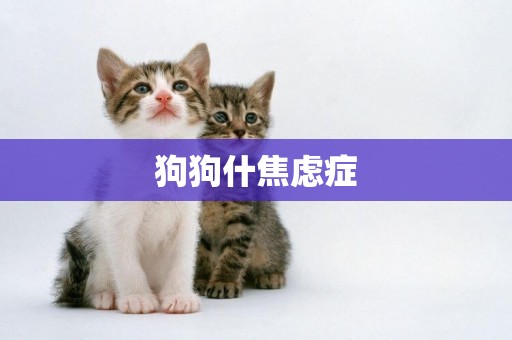 狗狗什焦慮癥