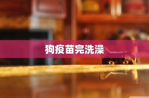 狗疫苗完洗澡