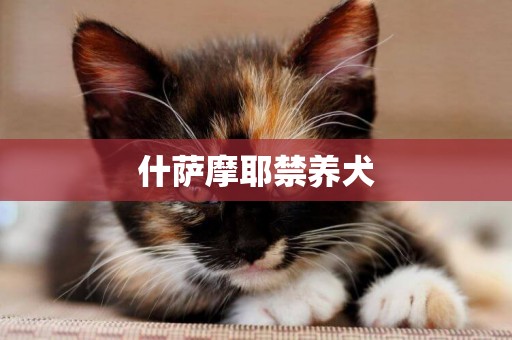 什薩摩耶禁養犬