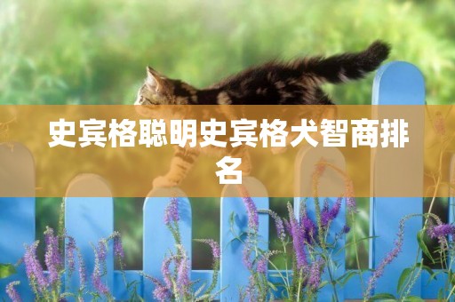 史賓格聰明史賓格犬智商排名