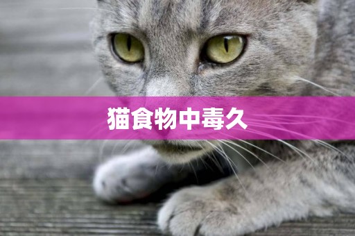 貓食物中毒久