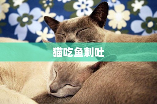 貓吃魚刺吐