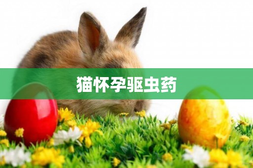 貓懷孕驅蟲藥
