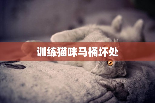 訓練貓咪馬桶壞處