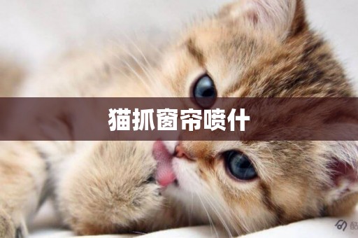 貓抓窗簾噴什