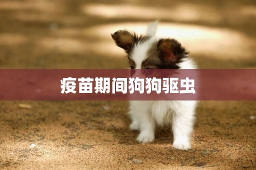 疫苗期間狗狗驅蟲
