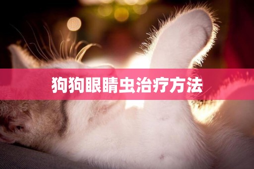 狗狗眼睛蟲治療方法