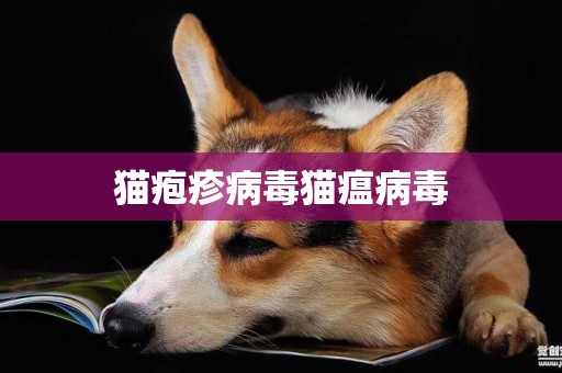 貓皰疹病毒貓瘟病毒
