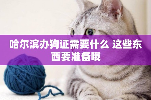 哈爾濱辦狗證需要什么 這些東西要準備哦