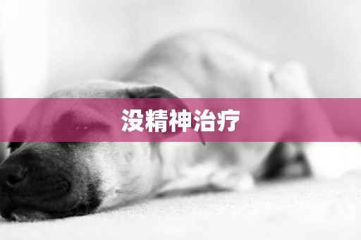 沒精神治療