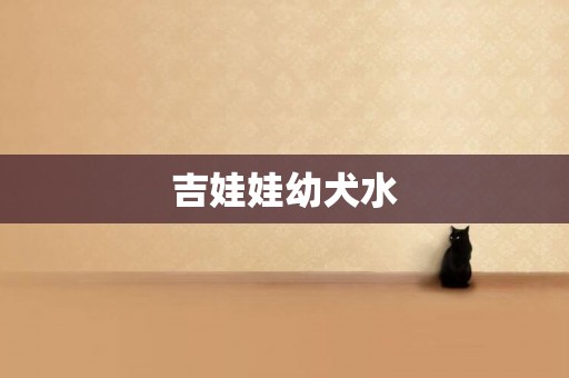吉娃娃幼犬水