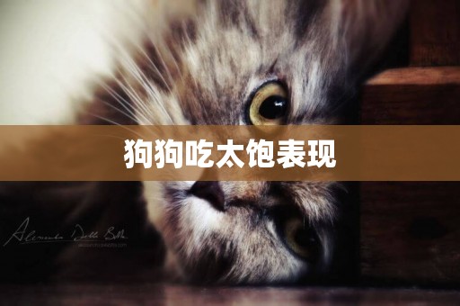 狗狗吃太飽表現