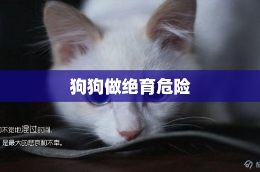 狗狗做絕育危險