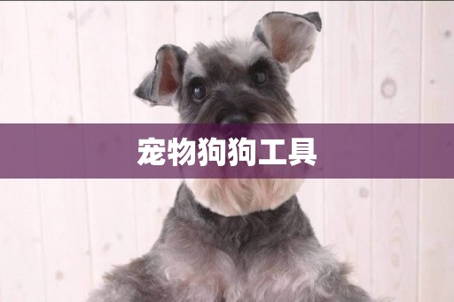 寵物狗狗工具