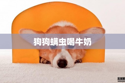 狗狗螨蟲喝牛奶