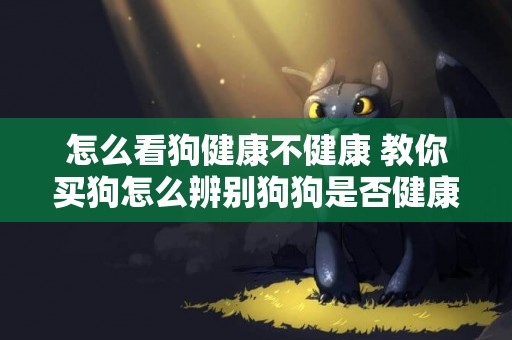 怎么看狗健康不健康 教你買狗怎么辨別狗狗是否健康
