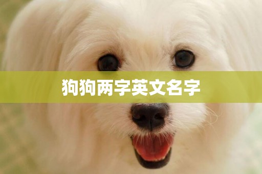狗狗兩字英文名字