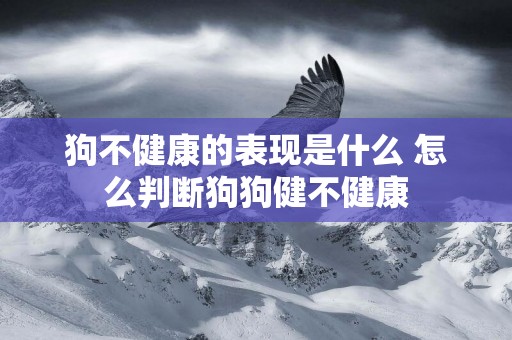 狗不健康的表現是什么 怎么判斷狗狗健不健康 狗不健康的表現是什么 怎么判斷狗狗健不健康