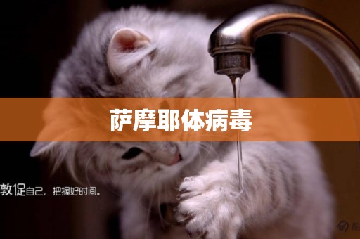 薩摩耶體病毒