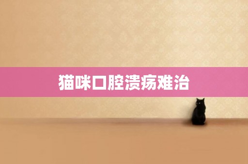 貓咪口腔潰瘍難治