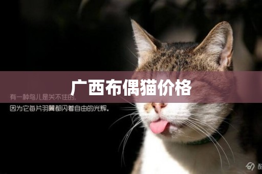 廣西布偶貓價格