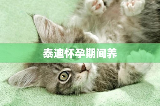 泰迪懷孕期間養