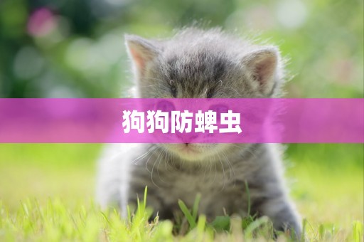 狗狗防蜱蟲