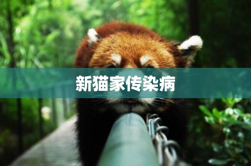 新貓家傳染病
