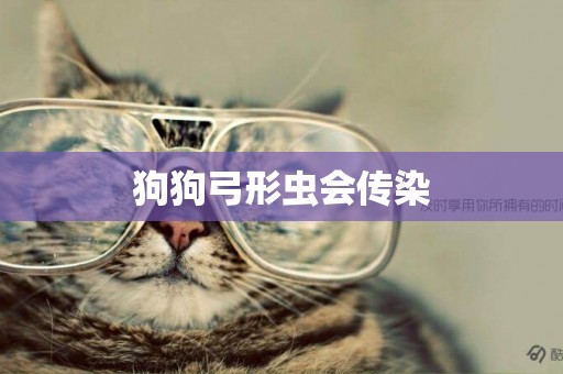 狗狗弓形蟲會傳染