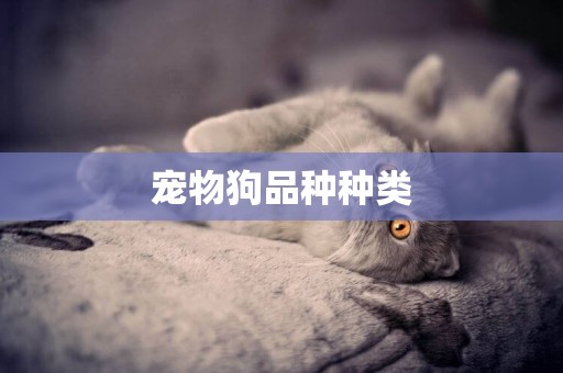 寵物狗品種種類